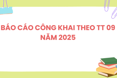 BÁO CÁO CÔNG KHAI THEO TT 09 NĂM 2025