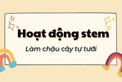 Hoạt động Stem: Làm chậu cây tự tưới