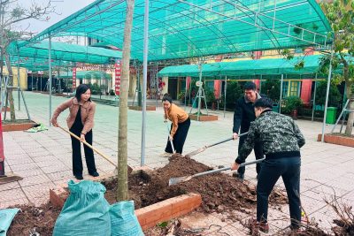 Trường Tiểu học Hải Lý tổ chức “Tết trồng cây đời đời nhớ ơn Bác Hồ” – gieo mầm xanh cho tương lai